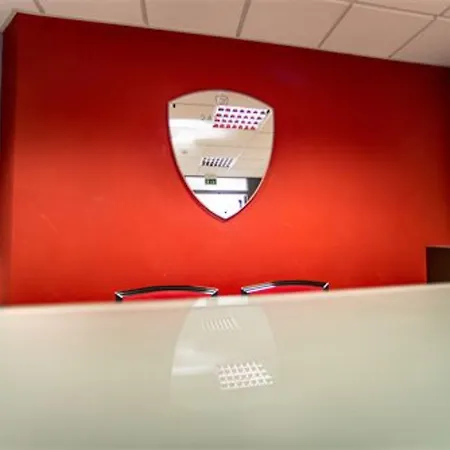 Daytona Business קולצ'יו