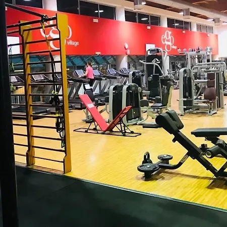 Daytona Business Collecchio