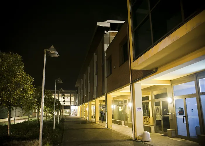 Daytona Business كولّيكْيو