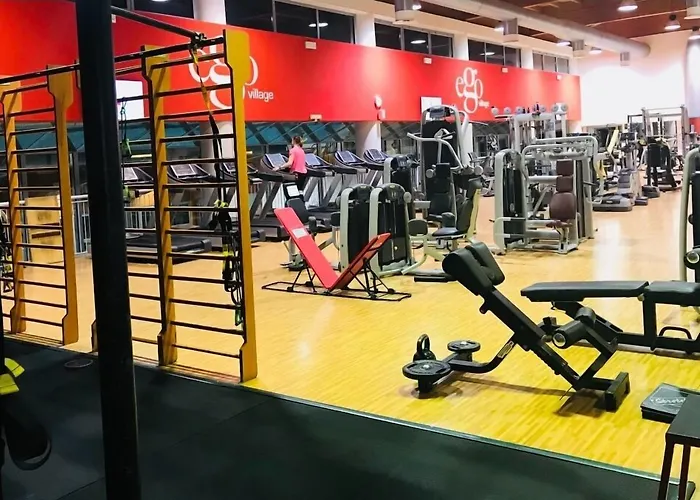 Daytona Business كولّيكْيو